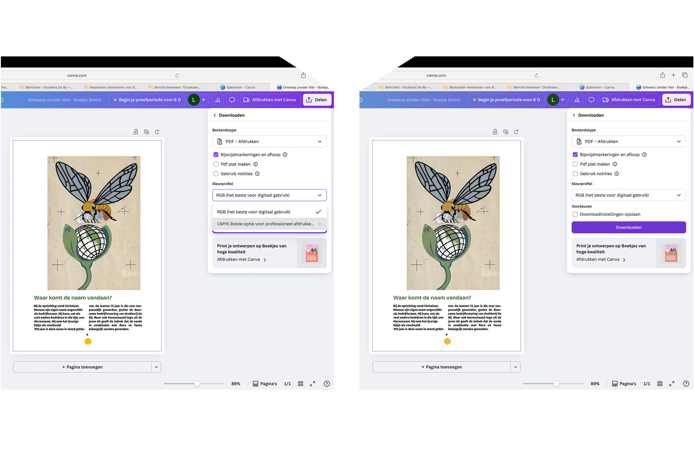 Canva ontwerp met bij illustratie en downloadopties.