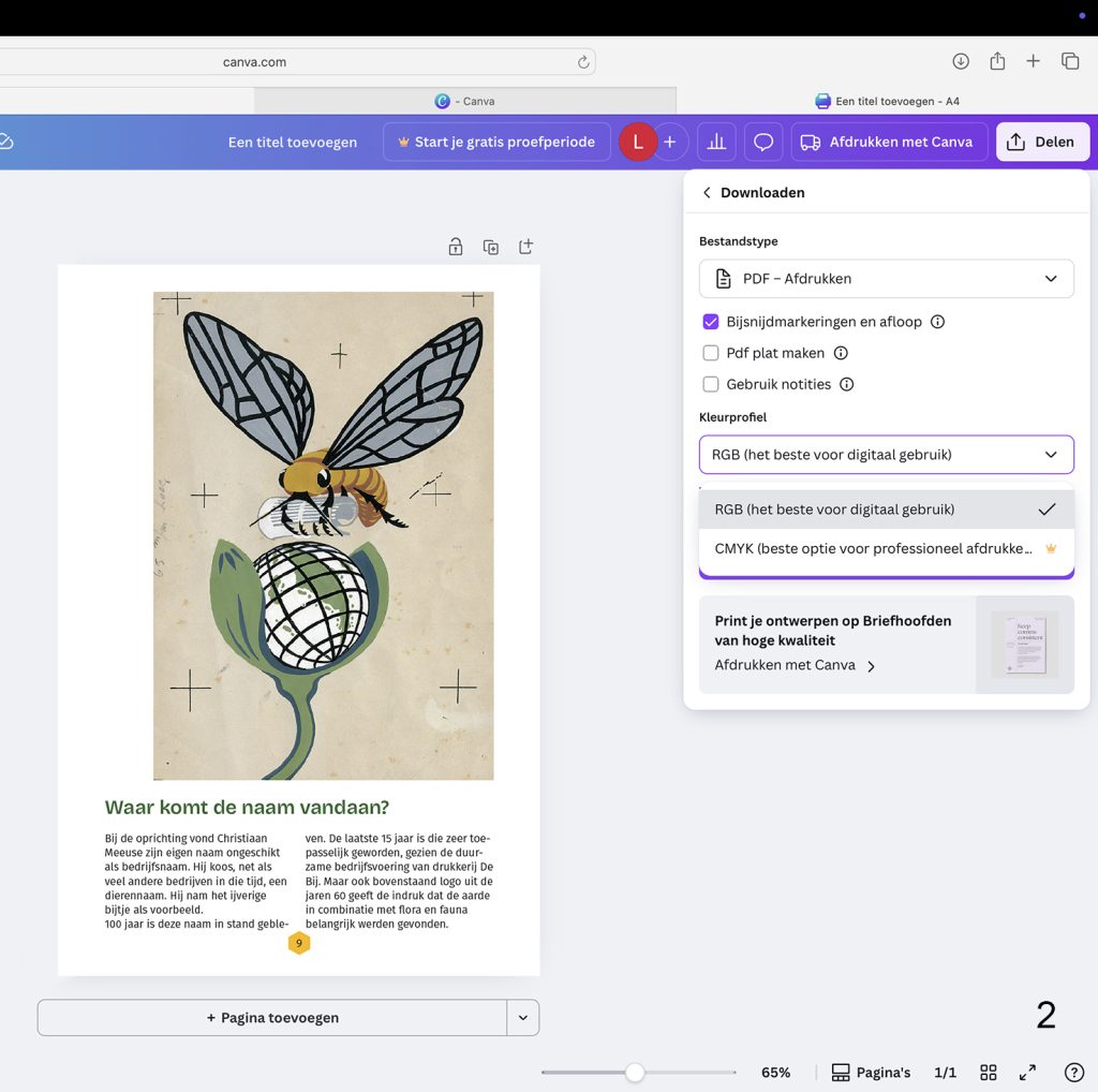 Bij en kunstbloem illustratie op pagina met tekst.